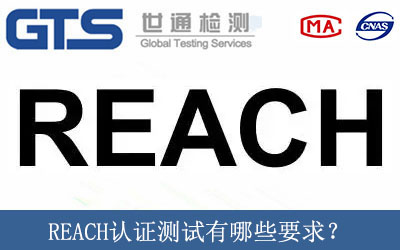 REACH認證測試有哪些要求？